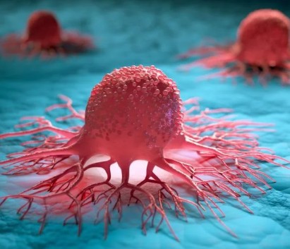 Northern Light Mercy Hospital General Tumor Board Banner